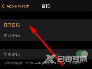 applewatchseries7怎么设置锁屏密码-锁屏密码如何设置