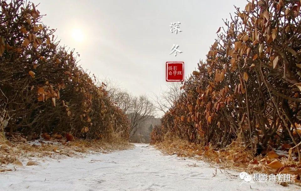 苹果手机拍冬天，要会这6个摄影技巧