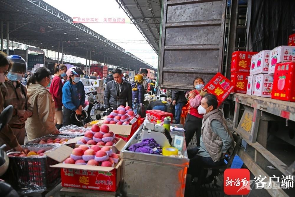 原创组图｜春节临近 海口南北水果批发市场桔子、橙子、苹果供销“两旺”