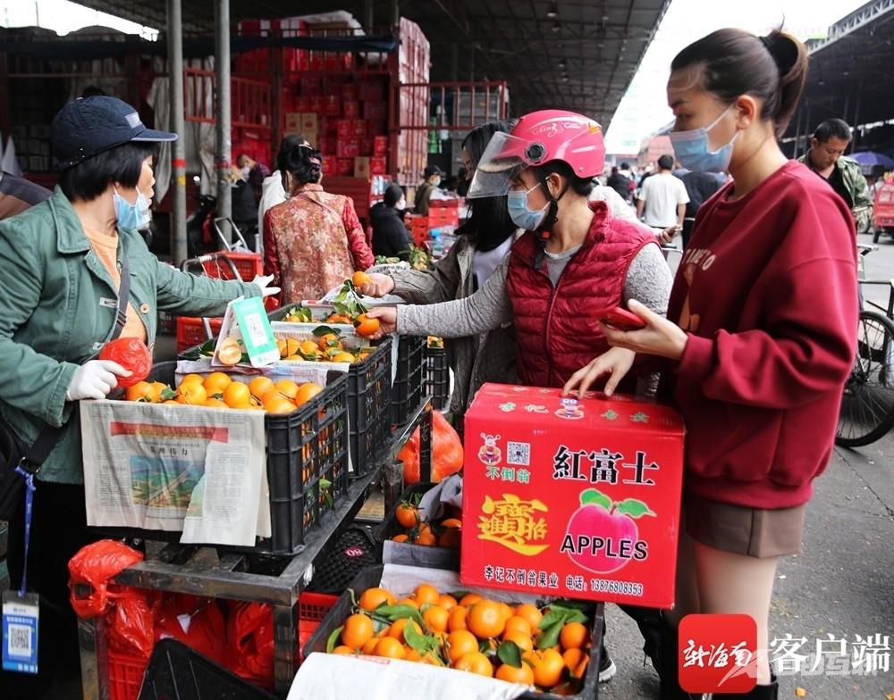 原创组图｜春节临近 海口南北水果批发市场桔子、橙子、苹果供销“两旺”