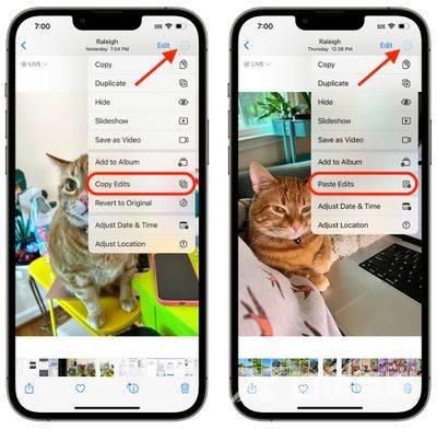 iOS 16：如何将编辑内容复制并粘贴到照片