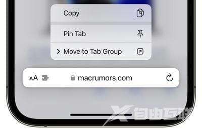 iOS 16：如何在 iPhone 和 iPad 上的 Safari 中固定标签