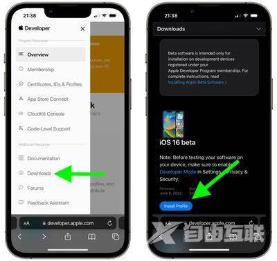 如何安装 iOS 16 和 iPadOS 16 Beta