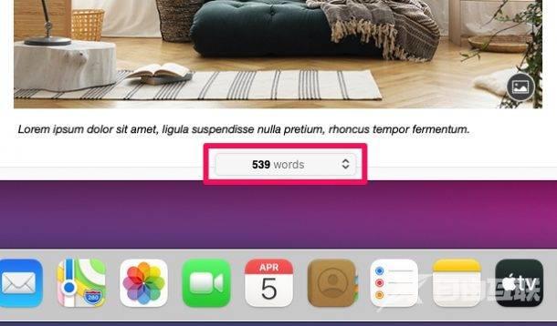如何在 Mac 的页面中显示字数