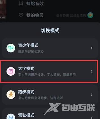 酷狗音乐在哪里开启大字模式 设置大字模式方法一览 3