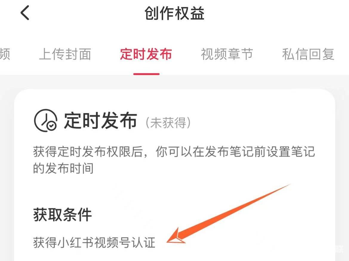 小红书如何开启定时发布 设置定时发布步骤分享 6