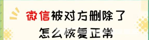 微信被对方删除了怎么恢复正常？试试这招很简单