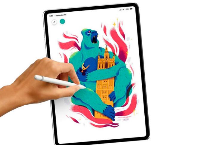 ipadpro11寸还是12.9寸(3)