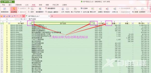 WPS如何快速进行文本筛选操作方法教学