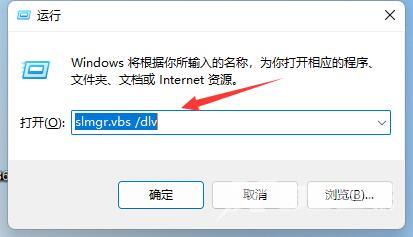 Win11查看激活信息教程