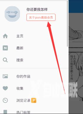 《Pixiv》怎么注册成为高级会员