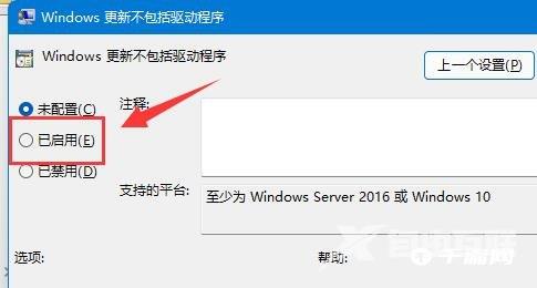 Win11驱动更新如何关掉