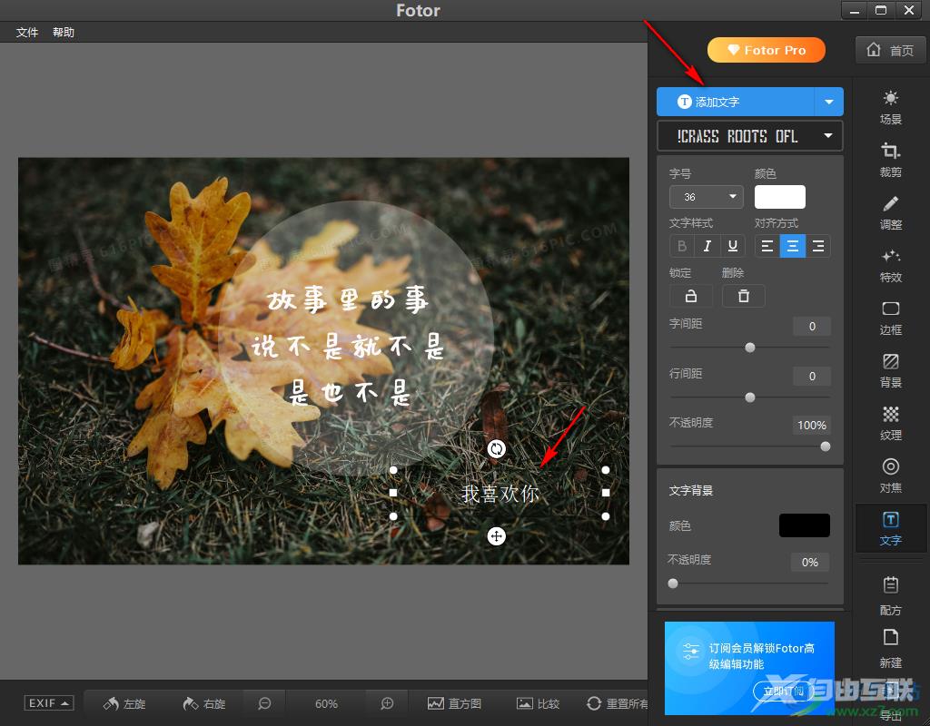 Fotor给图片添加文字的方法