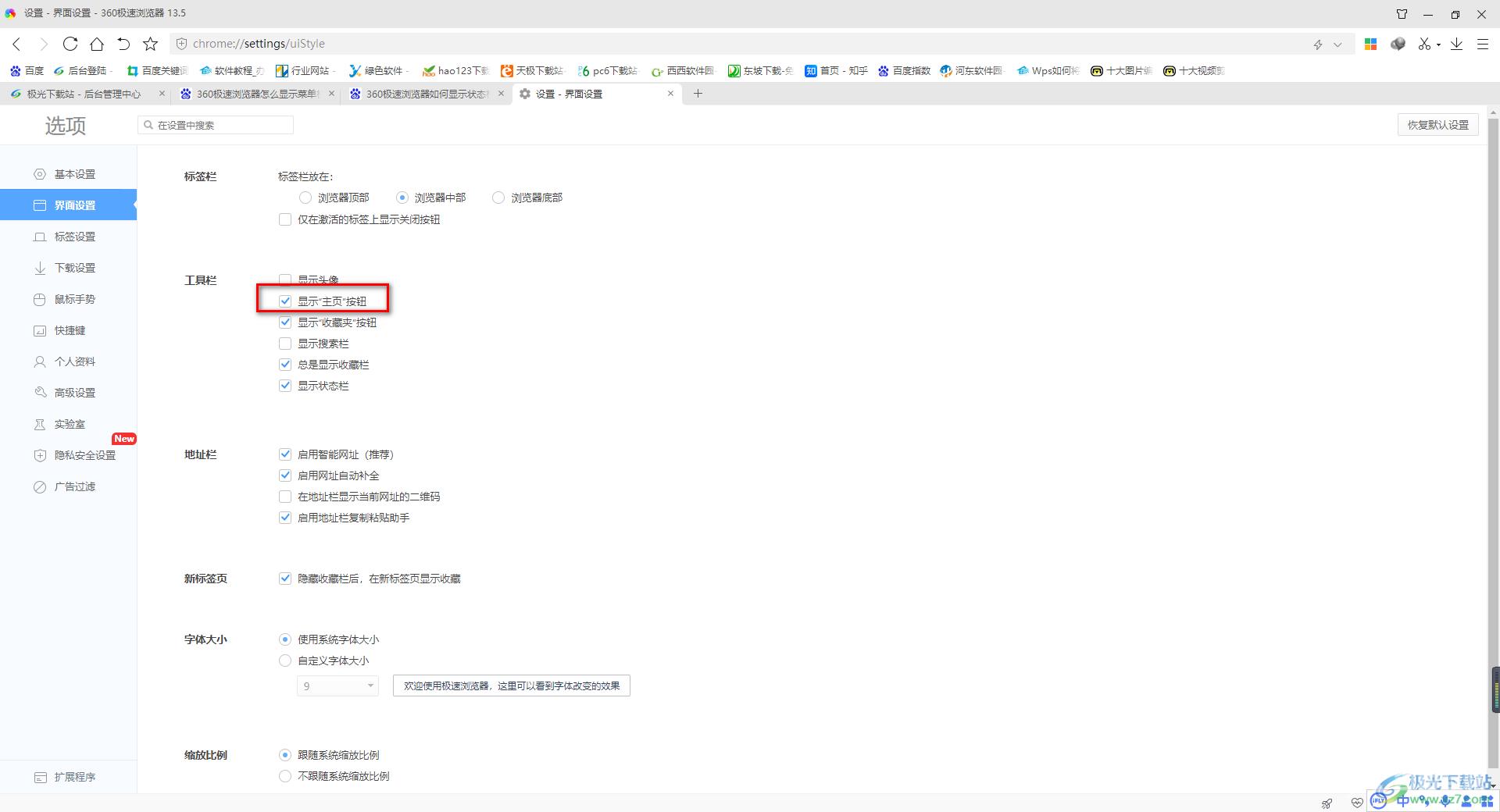 360极速浏览器设置显示主页按钮的方法