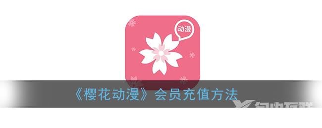 樱花动漫会员充值方法