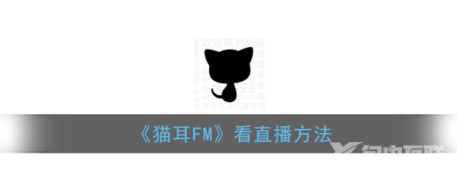 猫耳FM看直播方法