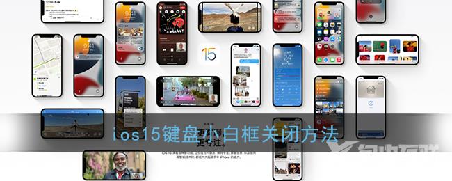 ios15键盘小白框关闭方法