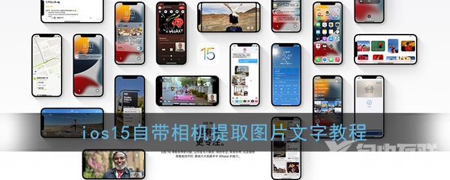 ios15自带相机提取图片文字教程