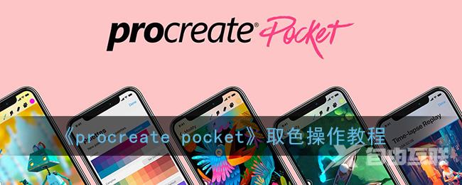 procreate pocket取色操作教程