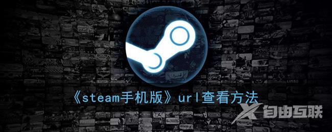 steam手机版url查看方法