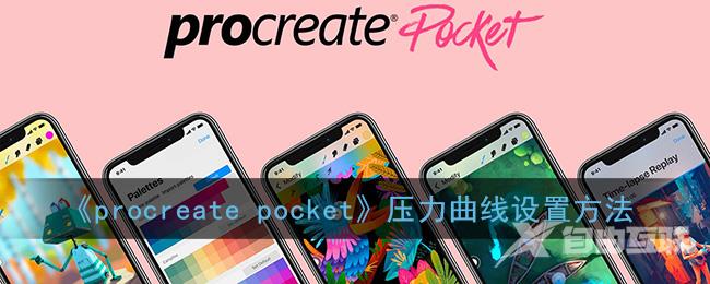 procreate pocket压力曲线设置方法