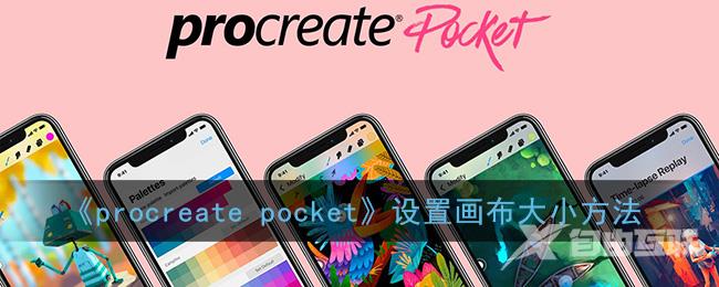 procreate pocket设置画布大小方法