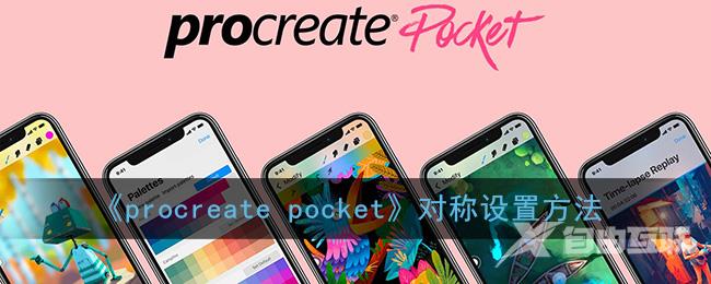 procreate pocket对称设置方法