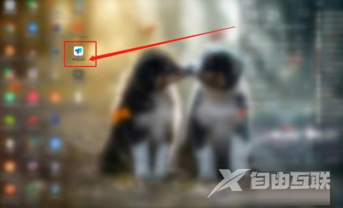 《Todesk》怎么查看版本号