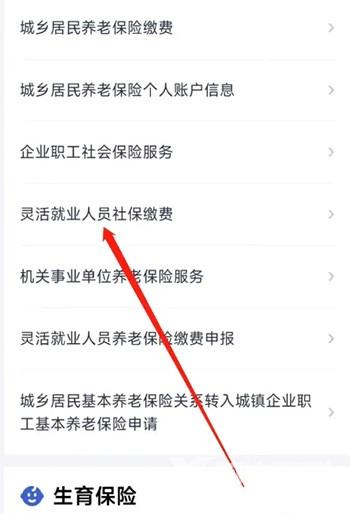 《鄂汇办》怎么交灵活就业社保