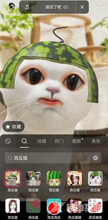 《抖音》西瓜猫怎么拍