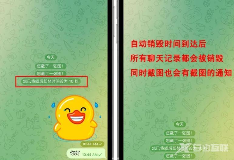 《Telegram》电报加密与阅后即焚有什么区别