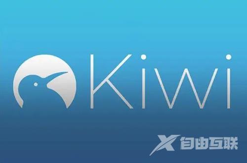 《kiwi浏览器》怎么安装扩展插件
