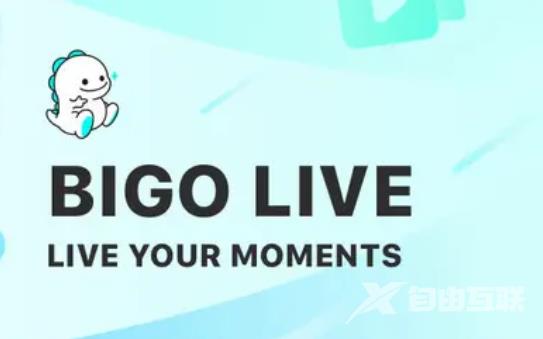 《Bigo Live》国内可以用吗