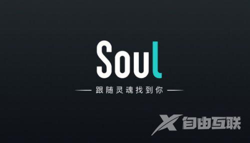 《soul》电子宠物在哪里