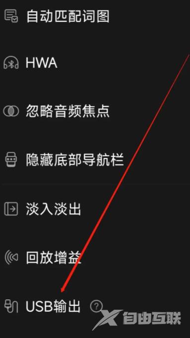 《飞傲音乐》怎么启用USB输出