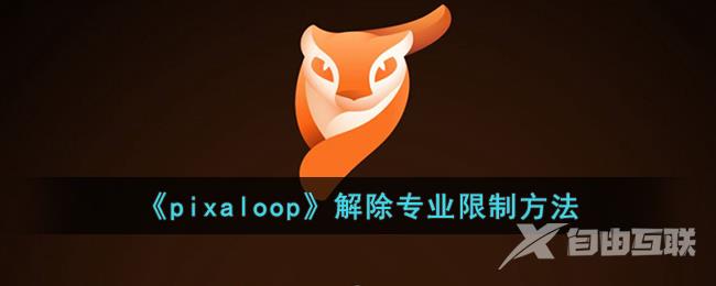 pixaloop解除专业限制方法