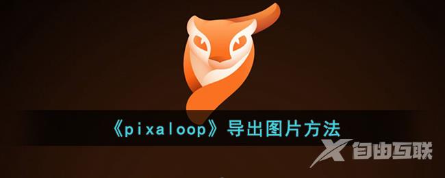 pixaloop导出图片教程