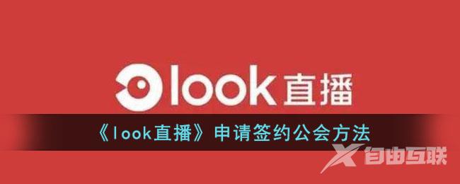 look直播申请签约公会方法