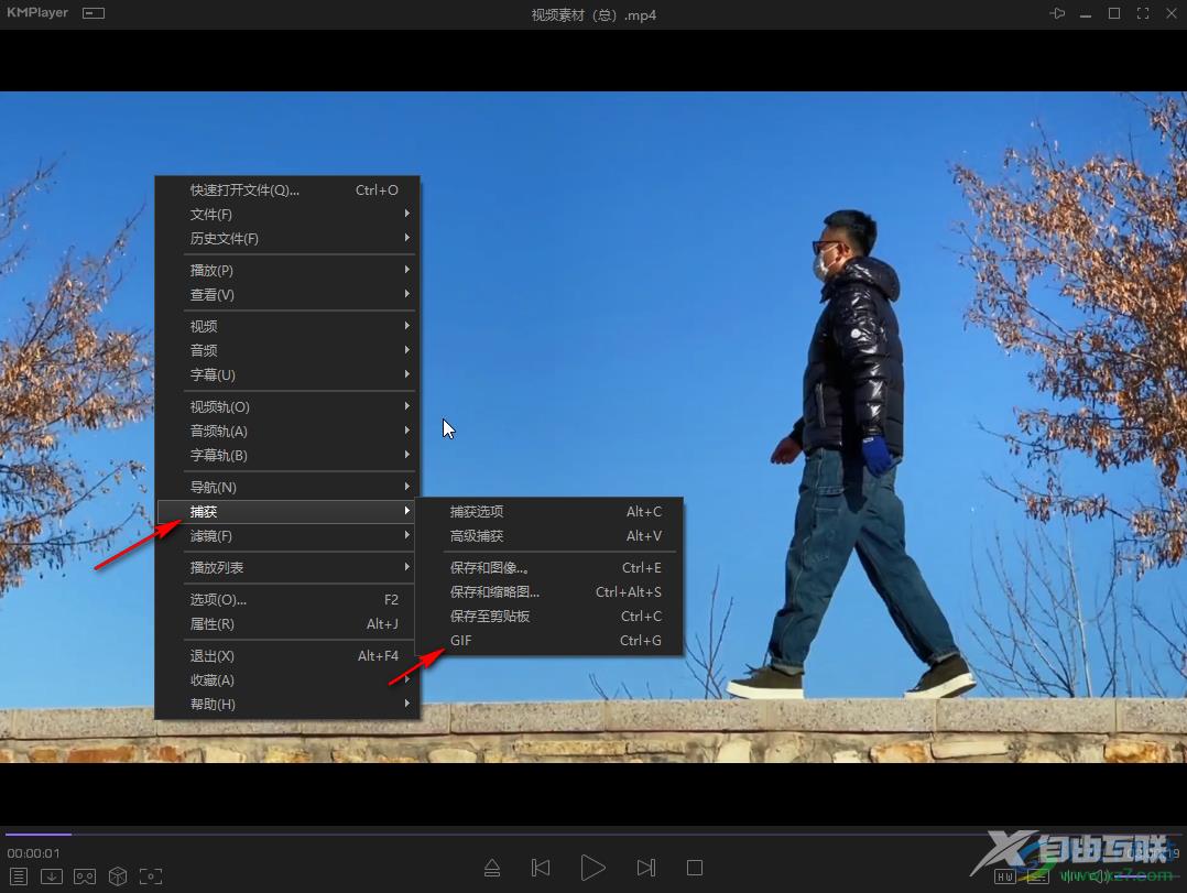 KMPlayer截取GIF动图的方法教程