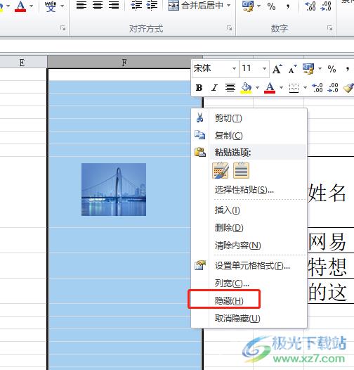 excel设置图片和表格同时隐藏的教程
