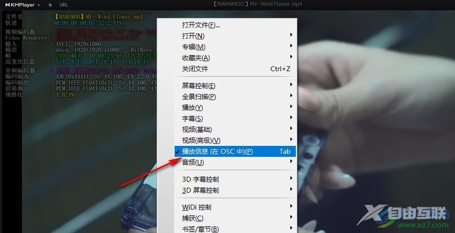 KMPlayer查看视频播放信息的方法