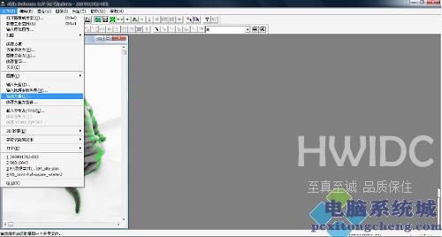 R2v软件使用方法