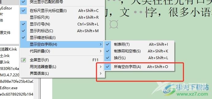 ​editplus文本按下空格出现圆点的去除教程