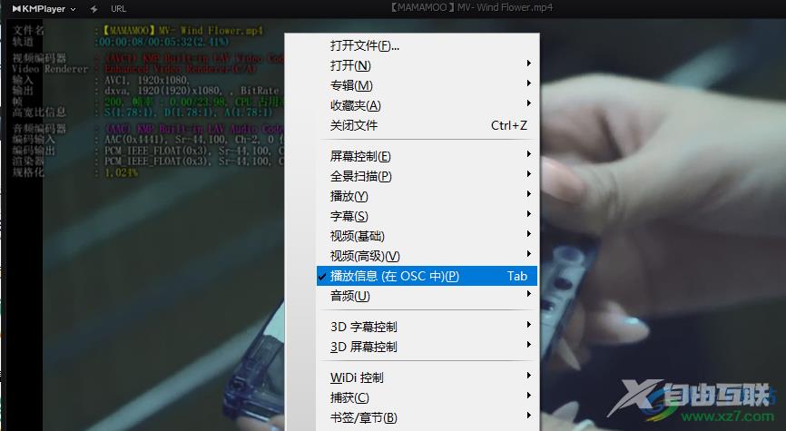 KMPlayer查看视频播放信息的方法