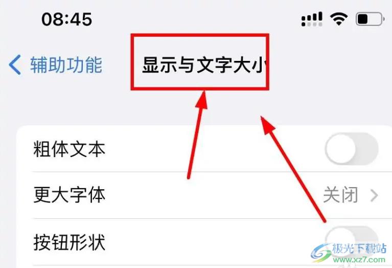 ​iPhone13显示粗体文本的教程