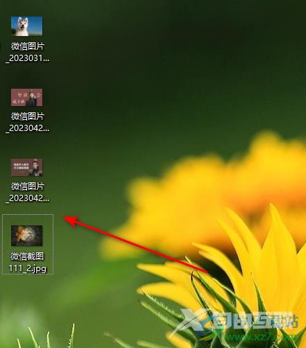 ACDSee设置打印图片大小的方法