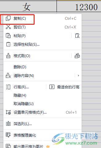 wps增加一个一样的表格教程