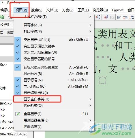 ​editplus文本按下空格出现圆点的去除教程