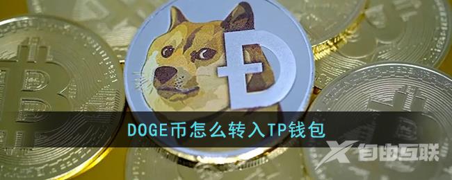 doge币转入tp钱包教程