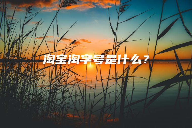 淘宝淘字号是什么？